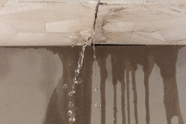 Professional Burst Pipe Cleanup technician working in Pe Ell, WA